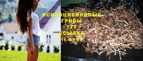 COCAINE Аркадак