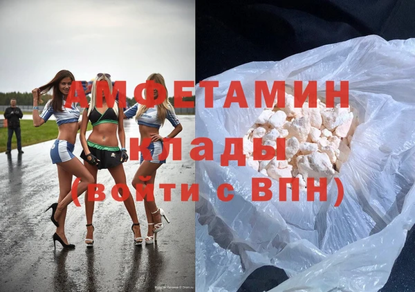 индика Алзамай