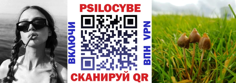 Галлюциногенные грибы мицелий  где продают   Выкса 